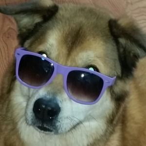 Meet your Posher, Robert